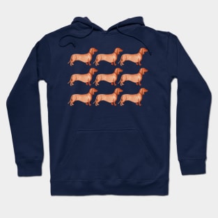 Watercolor weenie dog pattern Hoodie